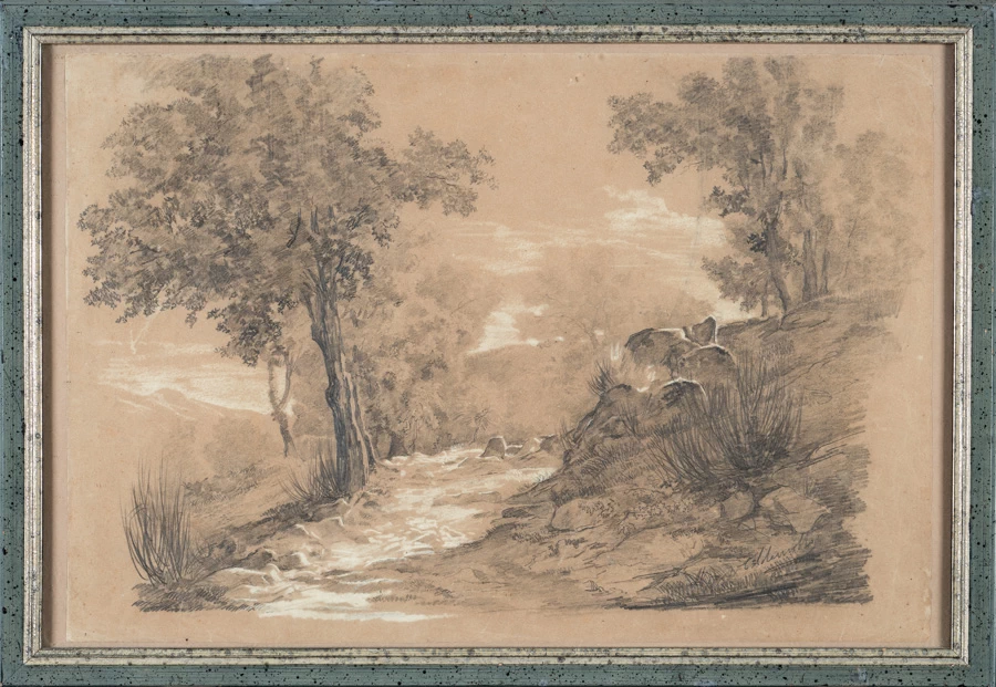 Sentiero nel bosco